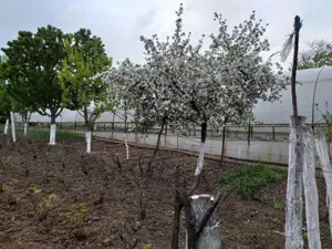 Vand casă  - imagine 7