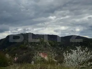 Vând casa cu 1 ha de livadă in Carmazanesti - imagine 3