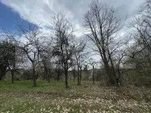 Vând casa cu 1 ha de livadă in Carmazanesti - imagine 2