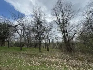 Vând casa cu 1 ha de livadă in Carmazanesti