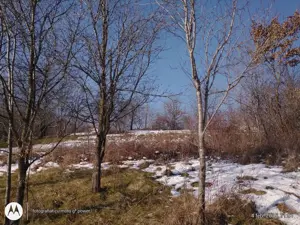 Pret excelent !  650 eur Berchez,teren intravilan frumos cu utilitati  - imagine 5