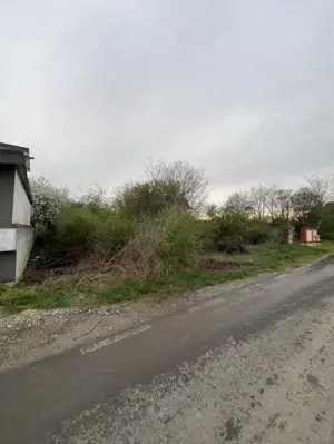 Teren de vanzare in Branesti -Deschidere 20m-Asfalt-Toate utilitatile - imagine 3