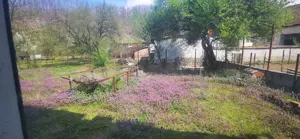 Casa in Calnic cu service auto spatiu comercial servicii depozitare sau de productie spatiu birouri  - imagine 4