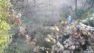 Vand teren 465 mp in statiunea Slanic Prahova schimb cu teren la mare - imagine 5