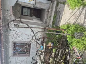 Vând casa batâneasca cart Romanesti - imagine 2