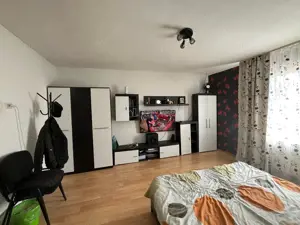 Belint, Casa, 4 Cam., 2.935 Mp. Teren - imagine 7