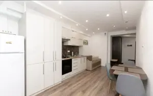 Garsoniera de inchiriat  in zona Drumul Taberei - imagine 2