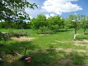 Casa si teren in natura - imagine 9