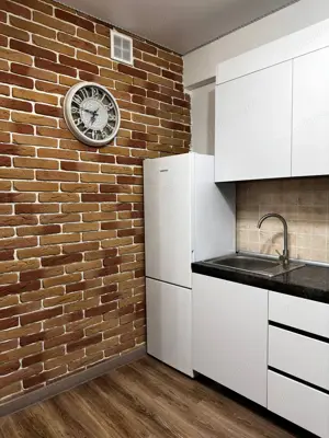 Garsoniera de inchitiat