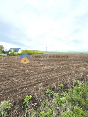 TEREN intravilan 4500 mp  PIATRA NEAMT  strada Izvoare - imagine 3