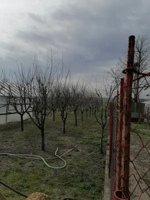 Vând casa și teren  - imagine 11