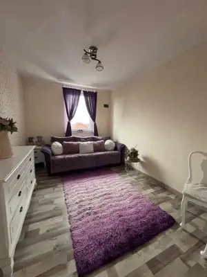 Oportunitate!! Casa individuala, afacere la cheie, Satu Mare - imagine 11