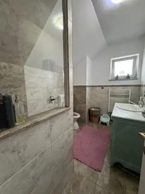 Oportunitate!! Casa individuala, afacere la cheie, Satu Mare - imagine 12