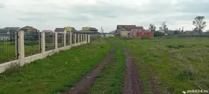 Teren Techirghiol - imagine 7