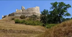 Teren intravilan construibil - imagine 3