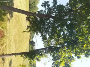 Teren constr - imagine 4