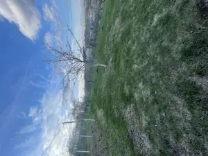 Vand  teren Sorogari - imagine 5 Vand  teren Sorogari - imagine 5