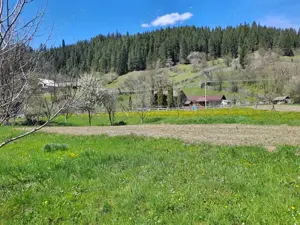 Teren intravilan la munte, Poiana Largului, Neamt, 3300 mp - imagine 2