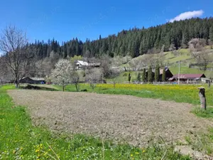 Teren intravilan la munte, Poiana Largului, Neamt, 3300 mp - imagine 4