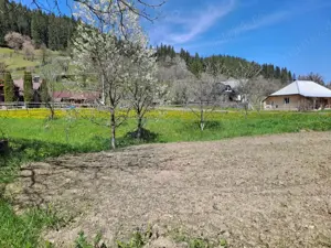 Teren intravilan la munte, Poiana Largului, Neamt, 3300 mp - imagine 3