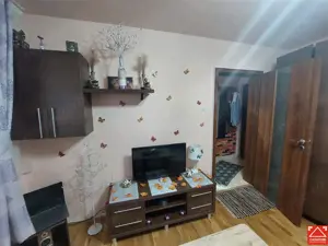 Garsoniera amenajata, zona P-ta Mihai Viteazul, parter - imagine 9
