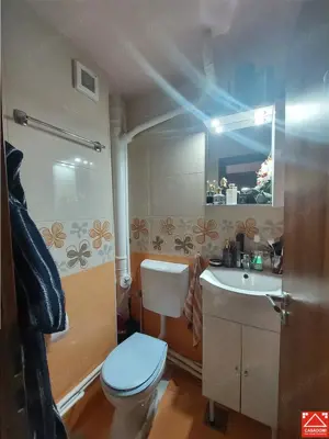 Garsoniera amenajata, zona P-ta Mihai Viteazul, parter - imagine 6