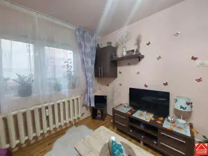 Garsoniera amenajata, zona P-ta Mihai Viteazul, parter - imagine 7