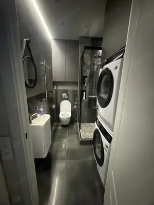 Garsoniera de inchiriat in zona Blumana - imagine 5