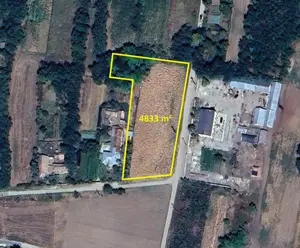 Teren intravilan de vanzare (4833mp) in Loc. Amarastii de Sus, Jud. Dolj - imagine 2