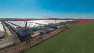 Complex de sere certificate BIO, de vânzare, Ciocaia, Bihor - imagine 4