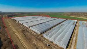 Complex de sere certificate BIO, de vânzare, Ciocaia, Bihor - imagine 7