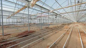 Complex de sere certificate BIO, de vânzare, Ciocaia, Bihor - imagine 11