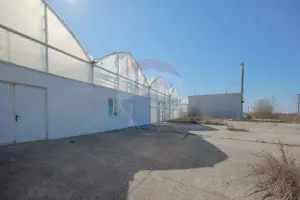 Complex de sere certificate BIO, de vânzare, Ciocaia, Bihor - imagine 8