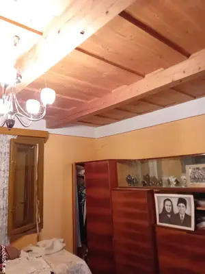 Casa de vanzare la tara,teren5000 mp plus o hala de 100 m p. - imagine 4