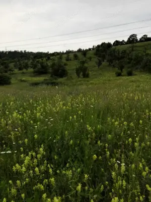 teren de vanzare - imagine 3