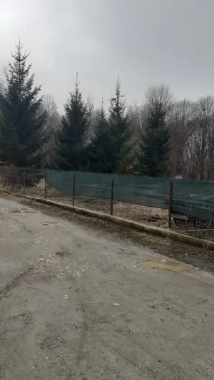 Loc casa de vacanta - imagine 4