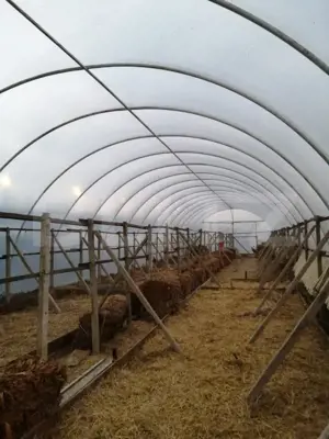 Teren 14.000 mp, zona Drambar - Ciugud - imagine 7