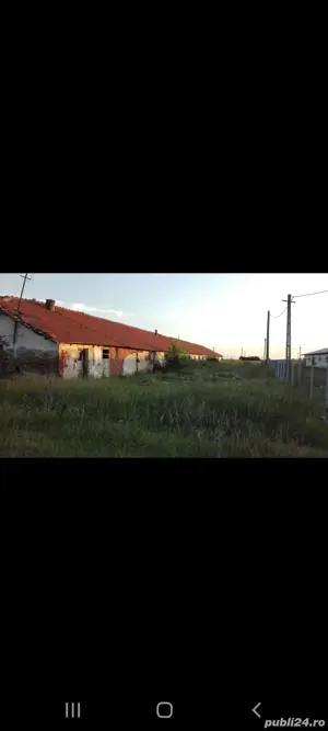Închiriez ferma hala depozit spatiu comercial 2550 mp.Silistea jud.Teleorman la 20 km.de A1,60 Buc - imagine 3