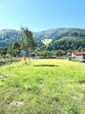 TEREN intravilan  PANGARATI - PRELUCA - imagine 3