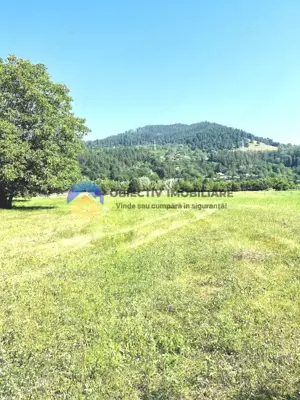 TEREN intravilan  PANGARATI - PRELUCA - imagine 5