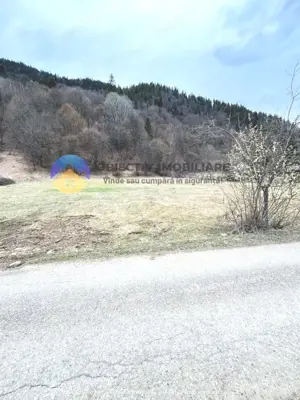 TEREN zona de munte TARCAU - imagine 2