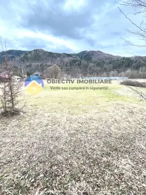 TEREN zona de munte TARCAU - imagine 6