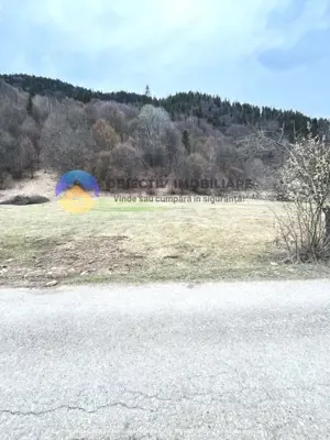 TEREN zona de munte TARCAU - imagine 4