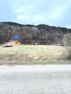 TEREN zona de munte TARCAU - imagine 7