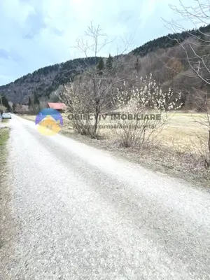 TEREN zona de munte TARCAU - imagine 8