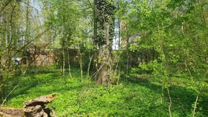 200E mp OCAZIE unică de INVESTIȚIE teren  ! Transformă DEPOZITUL BANCAR în proprietate exclusivistă! - imagine 7