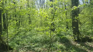 200E mp OCAZIE unică de INVESTIȚIE teren  ! Transformă DEPOZITUL BANCAR în proprietate exclusivistă! - imagine 8