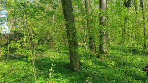 200E mp OCAZIE unică de INVESTIȚIE teren  ! Transformă DEPOZITUL BANCAR în proprietate exclusivistă! - imagine 10