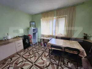 Casa individuala,65 mp,1150 mp teren,Valisoara - imagine 7