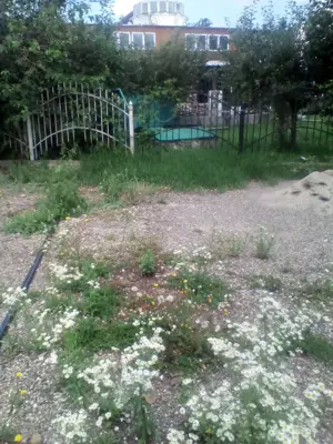 Angajam ingrijitor animale si curatenie curte  - imagine 2